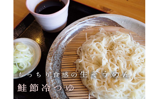 これぞ本物の生の味!元祖生そうめん4食×3箱（鮭節冷つゆ味×12）【16110】[a113-002]
