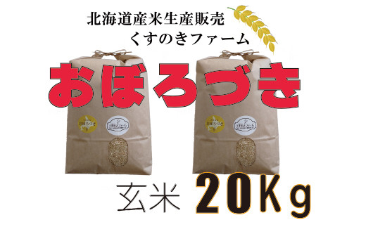【令和5年産】北海道岩見沢産くすのきファームのおぼろづき玄米（20Kg）【34128】[a123-028]