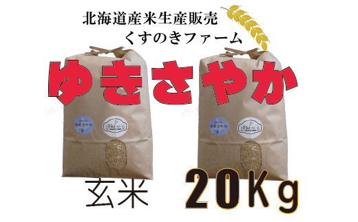 【令和5年産】北海道岩見沢産くすのきファームのゆきさやか玄米（20Kg）【34130】[a123-030]
