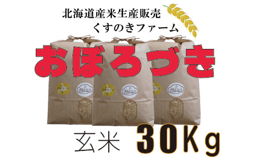 【令和5年産】北海道岩見沢産くすのきファームのおぼろづき玄米（30Kg）【34136】[a123-036]
