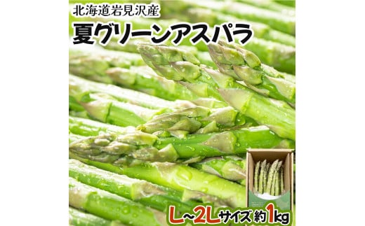 【先行予約/令和7年産】北海道岩見沢産　夏グリーンアスパラ　L～2Lサイズ 1kg【41104】[a129-002]