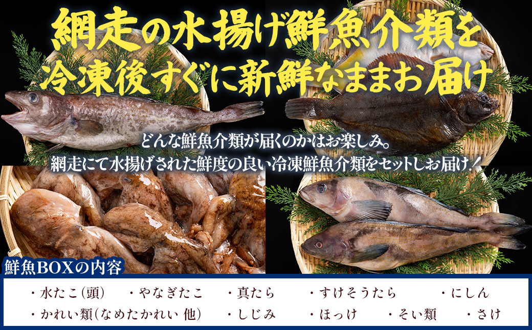 【訳あり】網走産冷凍鮮魚BOX～未利用魚の有効活用（漁業生産者応援企画）～ ABAE011