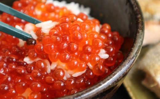 【2025年新物】北海道網走産醤油いくら（鮭卵）500g ABAE1007