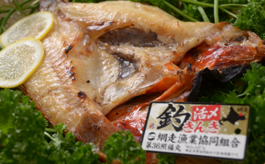 網走産生冷凍釣きんき【2尾で約1kg】 ABAO073