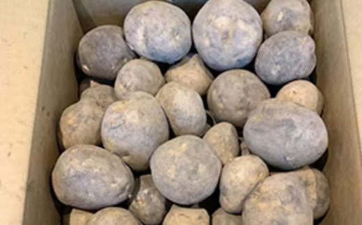 【先行予約】秋の収穫男爵いも 約10kg詰め（2025年9月15日以降発送） ABAO081