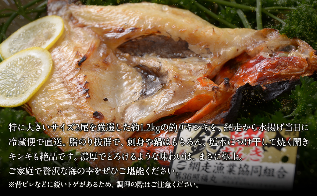 【先行予約】【冷蔵届け】網走産釣りキンキ【2尾で約1kg】（2026年4月中旬頃～11月下旬頃発送） ABAO116