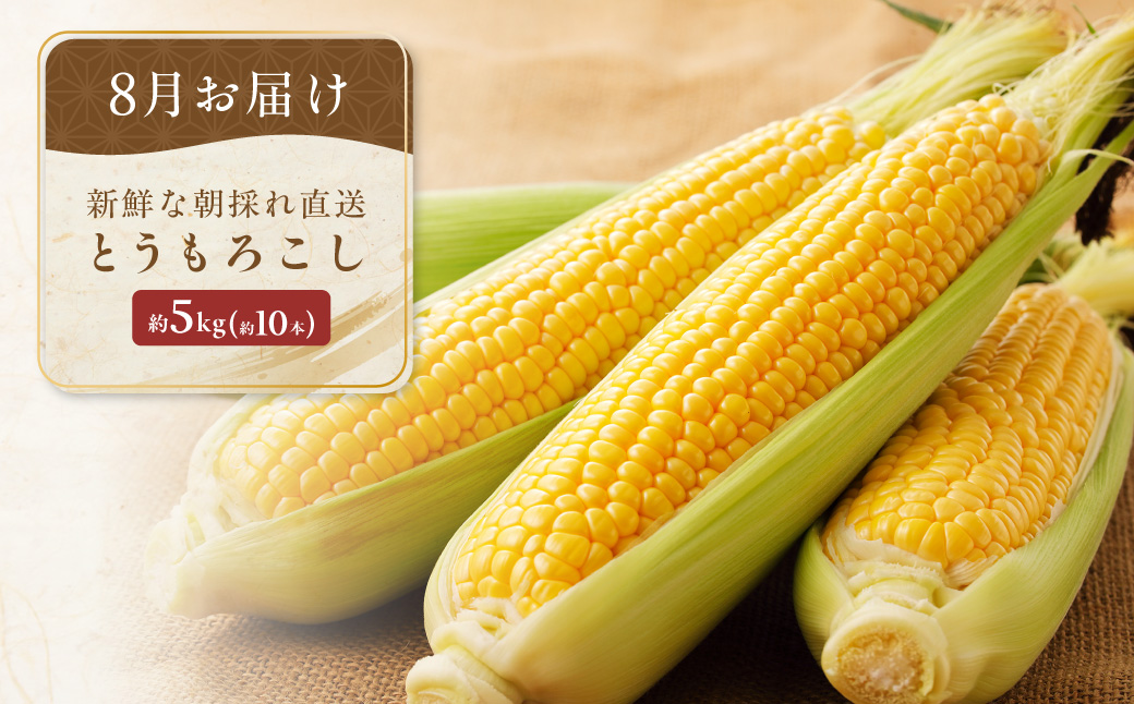 【定期便】旬の農産物定期便 年3回お届け ABAO2211