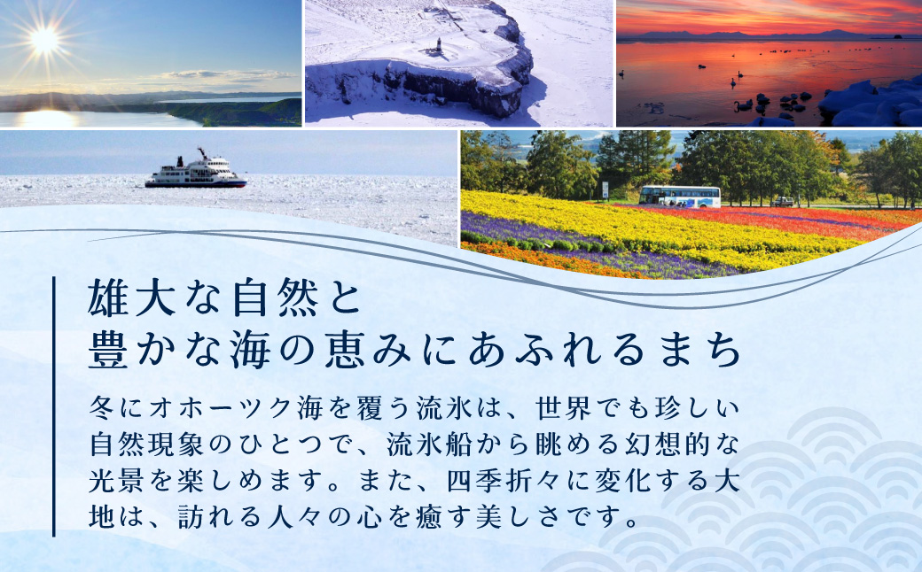 【返礼品なし】北海道網走市・応援寄附10,000円（寄附のみの応援受付 ※返礼品はございません） ABBT003