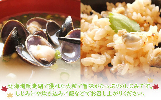 【定期便】全3回（毎月）＜網走湖産＞冷凍しじみ 500g×3 【 ふるさと納税 人気 おすすめ ランキング しじみ シジミ しじみ貝 蜆 貝 シジミ汁 冷凍 定期便 網走湖 北海道産 新鮮 オホーツク 北海道 網走市 送料無料  】 ABE011