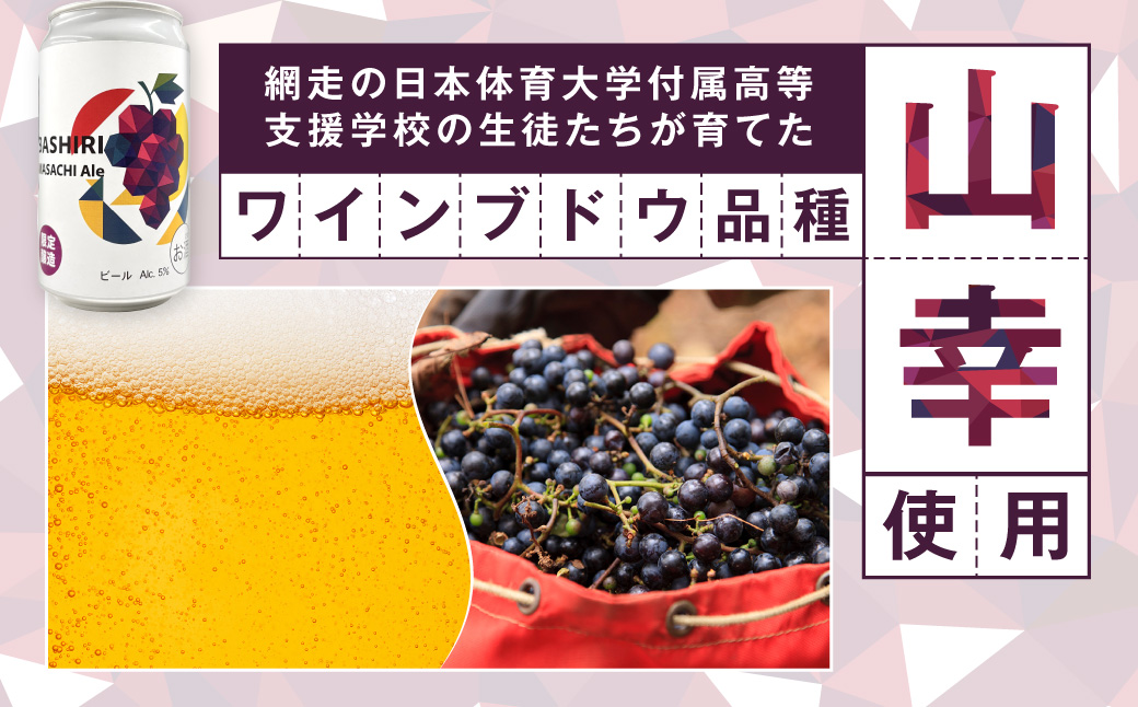 【先行予約】網走ビール（数量限定）ABASHIRI Yamasachi Ale 24本セット（2026年4月24日以降発送予定） ABH077