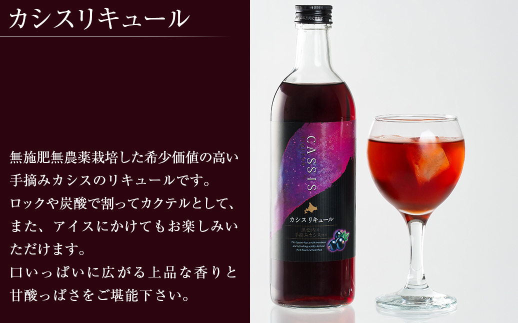 カシスリキュール1本セット ABH1003