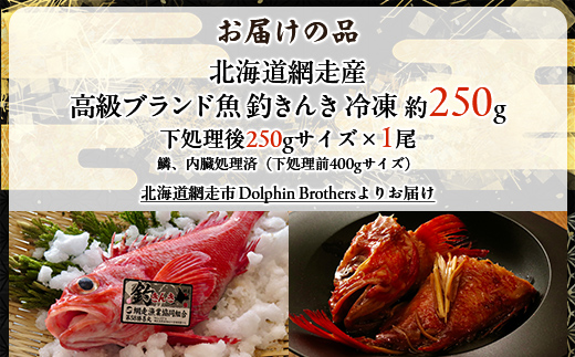 【先行予約】【網走産】高級ブランド釣きんき 1尾【冷凍】（2025年5月15日より順次発送） ABJ013