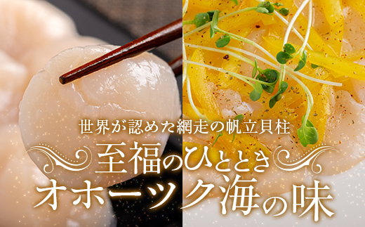 北海道オホーツク産 冷凍帆立貝柱 21玉～25玉 500g×2【 ふるさと納税 人気 おすすめ ランキング ホタテ ほたて 帆立 貝柱 ホタテ貝柱 ほたて貝柱 帆立貝柱 刺身 ホタテ刺身 刺身ホタテ ほたて刺身 刺身ほたて 帆立刺身 魚介 魚介類 海鮮 小分け 天然 オホーツク 北海道 網走市 送料無料 】 ABR005