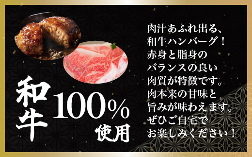 ＜網走産＞【オホーツクあばしり和牛】ハンバーグ・サーロインステーキセット 総重量980g ABW008