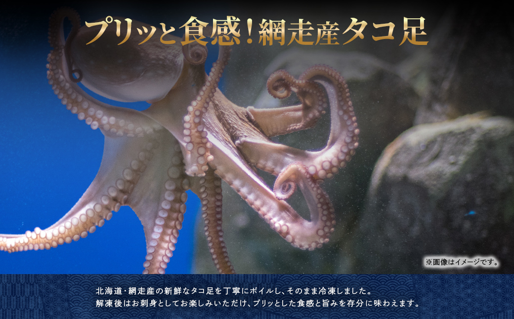 網走産 煮たこ足1kg前後（刺身用） ABW114