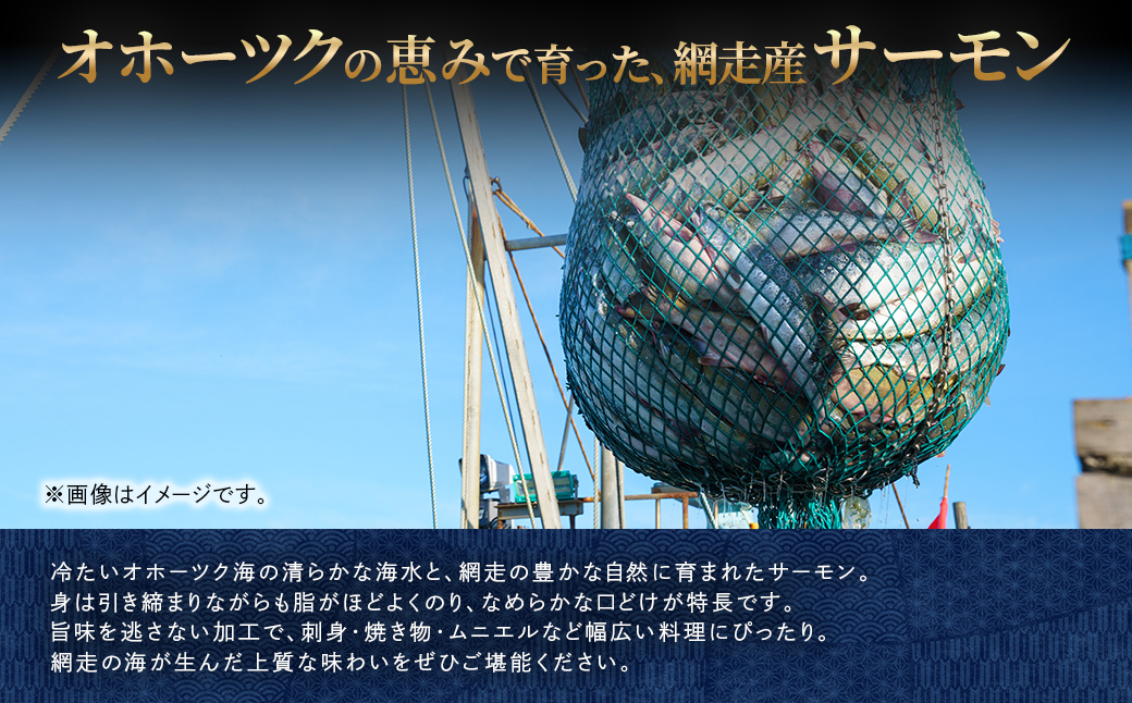 【訳あり】網走産 秋鮭2.5kg 無添加（カマ1.5kg、切身1kg） ABW115