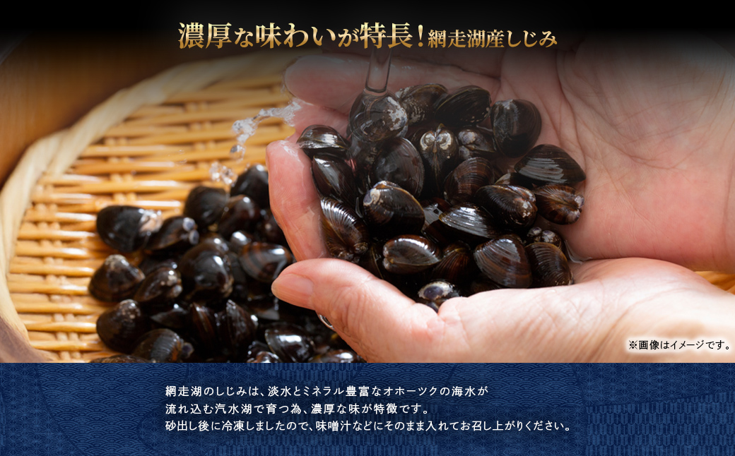 網走湖産 砂出し大和しじみ 2.6kg(200g×13） ABW118