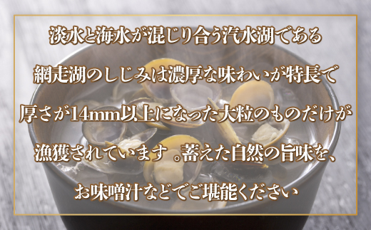 網走湖産 天然大粒 大和しじみ 1.2kg ※着日指定不可 ABX072