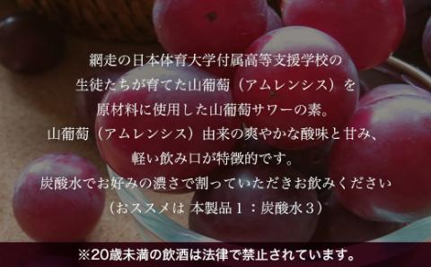 オホーツク網走山葡萄サワーの素　500ml×12本入り（網走市加工・製造） ABH051