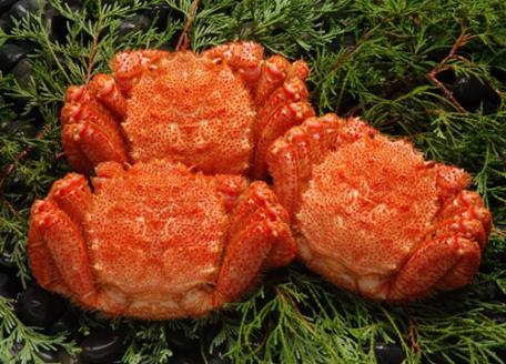 【数量限定】＜北海道産＞浜茹で毛がに【約500g×3尾】（網走加工） ABC017