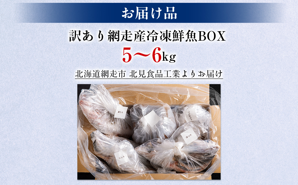 【訳あり】網走産冷凍鮮魚BOX～未利用魚の有効活用（漁業生産者応援企画）～ ABAE011
