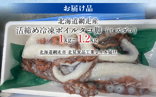 【先行予約】【無添加・訳あり】活締め網走産冷凍ボイルタコ脚（ミズダコ）1〜1.2kg（2026年4月以降発送予定） ABAE015