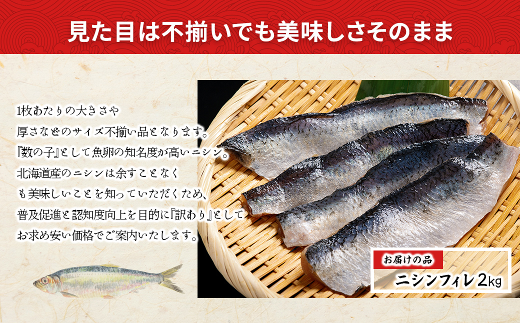 【訳あり】【骨切り加工】北海道産ニシンフィレ 2kg ABAE1008