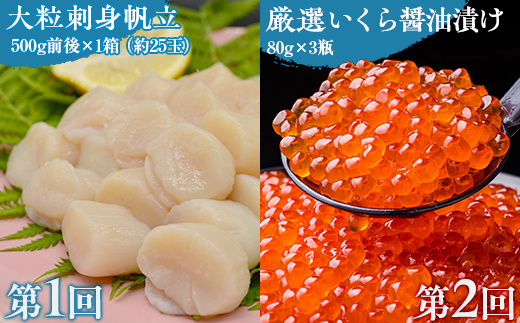 【毎月定期便】網走自慢の美味定期便(刺身帆立・いくら醤油漬け・イカ刺身)全3回 ABAO089