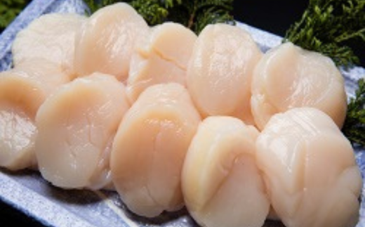 無添加お刺身帆立1箱500g(化粧箱入り) ABAO2193