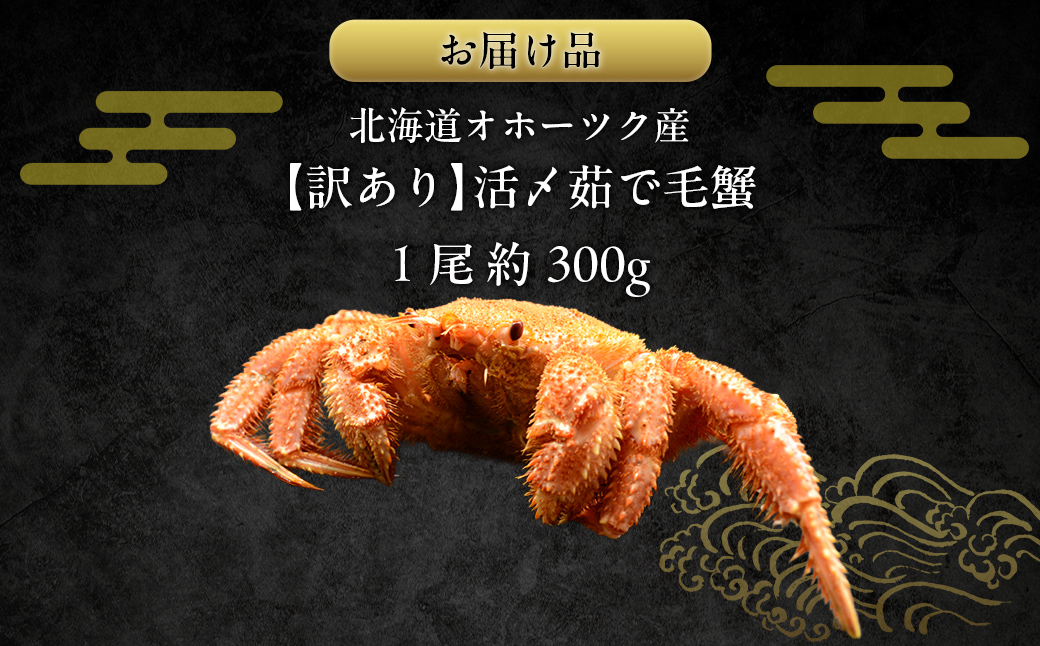 【訳あり】活〆茹で毛蟹1尾 約300g ABAO2199