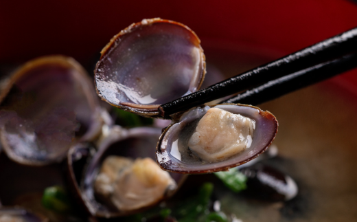 網走湖産冷凍しじみ貝小分け済み1kg（125g×2）×4袋 ABB146