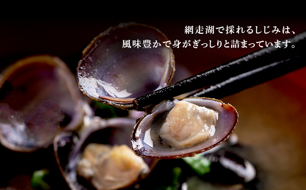 朝食セット 天然紅鮭切り身5切と網走湖のしじみ貝1kg ABB163