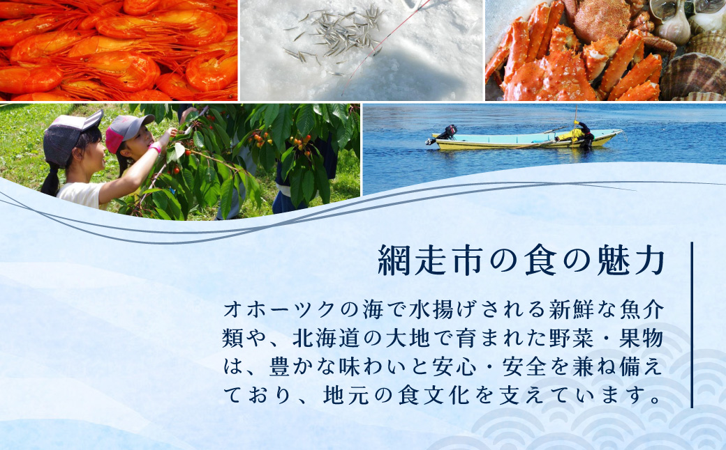 【返礼品なし】北海道網走市・応援寄附10,000円（寄附のみの応援受付 ※返礼品はございません） ABBT003