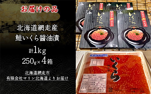 網走産「鮭いくら醤油漬」ドーンと1kg(250g×4) ABC034