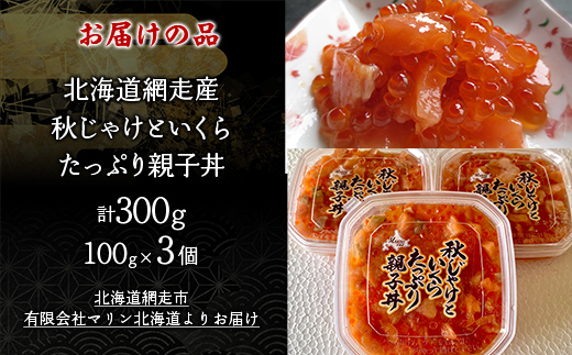 秋じゃけとイクラたっぷり親子丼100g×3 ABC036