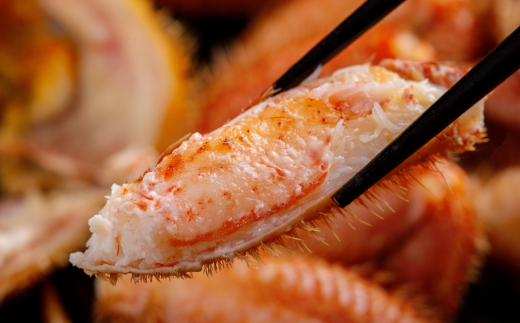 網走産 毛ガニ 440g×2尾 ABE091