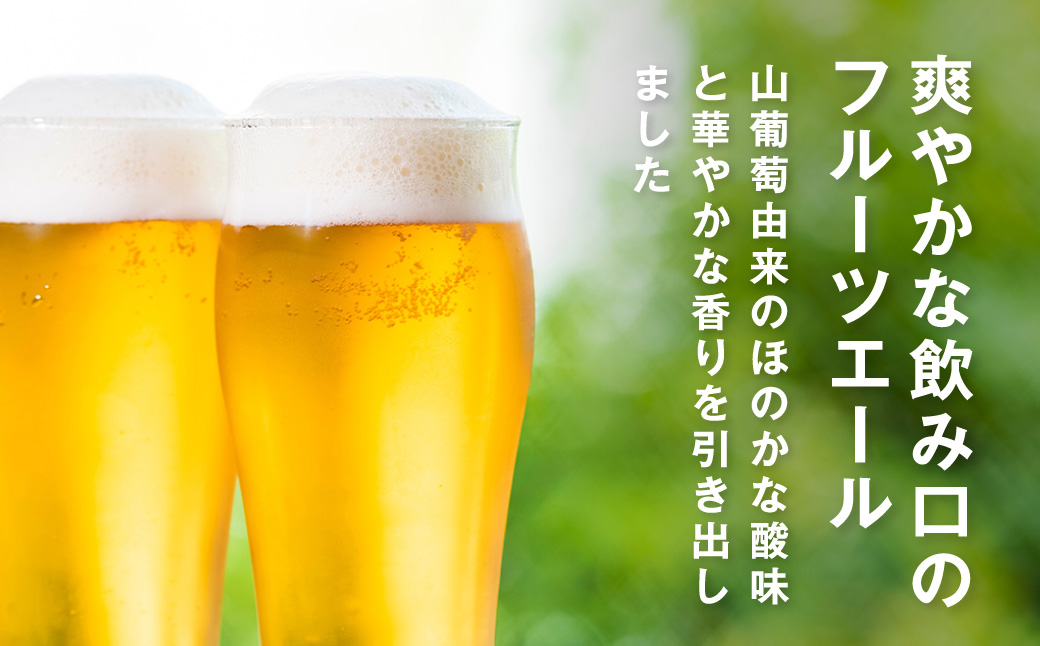 【先行予約】網走ビール（数量限定）ABASHIRI Yamasachi Ale 24本セット（2026年4月24日以降発送予定） ABH077
