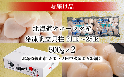 北海道オホーツク産 冷凍帆立貝柱 21玉～25玉 500g×2【 ふるさと納税 人気 おすすめ ランキング ホタテ ほたて 帆立 貝柱 ホタテ貝柱 ほたて貝柱 帆立貝柱 刺身 ホタテ刺身 刺身ホタテ ほたて刺身 刺身ほたて 帆立刺身 魚介 魚介類 海鮮 小分け 天然 オホーツク 北海道 網走市 送料無料 】 ABR005