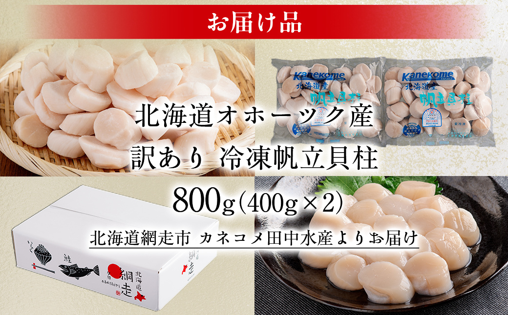 【訳あり】北海道オホーツク産 冷凍帆立貝柱（カット不要で便利な小玉）　800g（400g×2） 【 ホタテ 帆立 ほたて 貝柱 北海道 網走市 】 ABR023