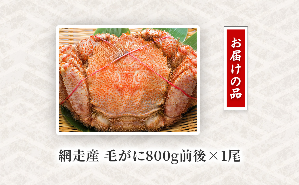 網走産 毛がに800g前後×1尾 ABW108