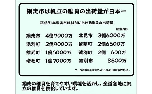 オホーツク産 冷凍帆立（ほたて）の貝柱 ４Ｓサイズ1kg ABX070