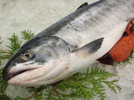 網走から直送！＜網走産＞いくら醤油漬 400g ABB009