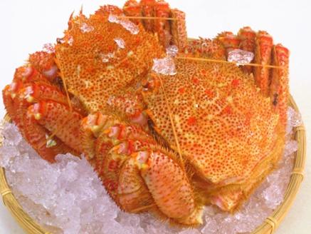 厳選 浜茹毛がに2尾イクラ醤油漬（網走産） ABC001