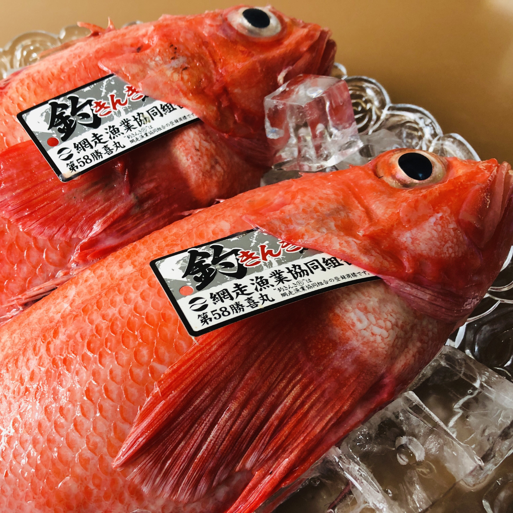 【定期便】<冷蔵>網走から海の幸　毛ガニ、ズワイガニ、うに、活ホタテ、きんき等 全5回 ABAO075