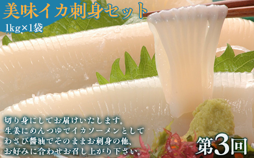 【毎月定期便】網走自慢の美味定期便(刺身帆立・いくら醤油漬け・イカ刺身)全3回 ABAO089