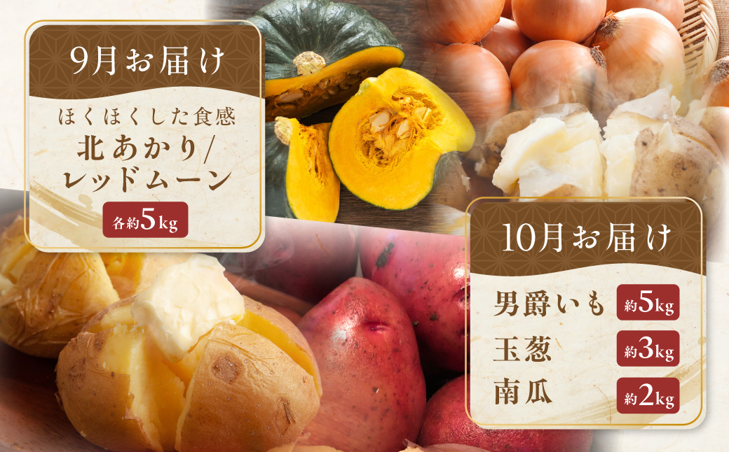 【定期便6回】網走美味農産物定期便「年6回お届け」（網走加工） ABAO1026