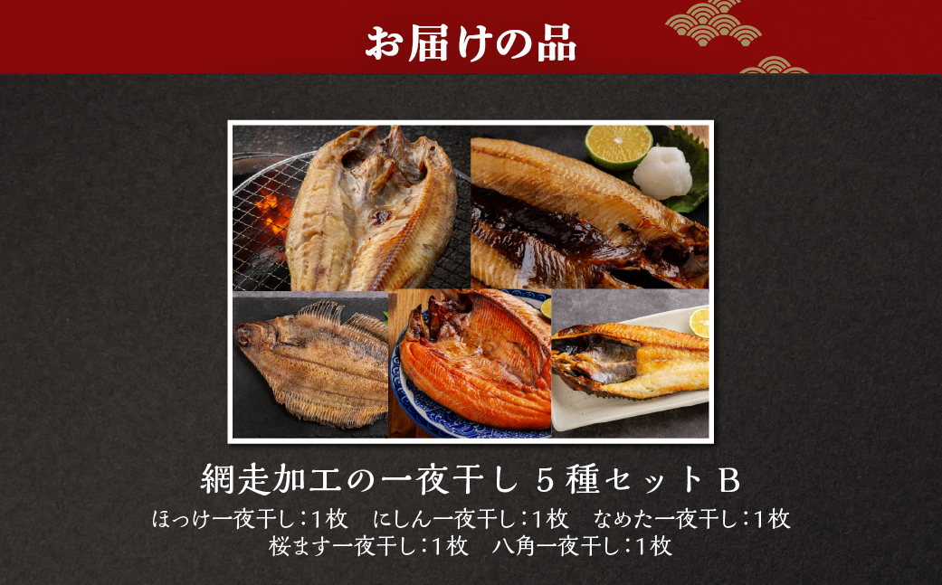 網走加工の一夜干しセット 5種B ABB173