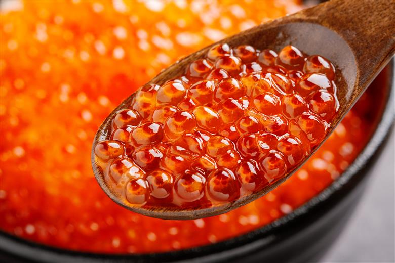 【12/15までのご入金で年内発送】網走産 秋鮭いくら 親子セット ABBI003