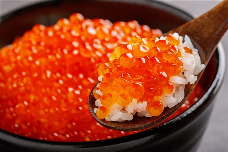 【12/15までのご入金で年内発送】網走産 秋鮭 いくら正油漬け 400g ABBI004