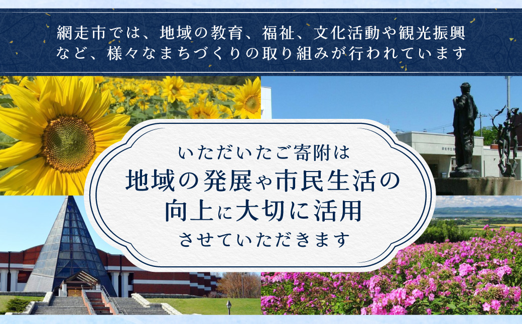 【返礼品なし】北海道網走市・応援寄附5,000円（寄附のみの応援受付 ※返礼品はございません） ABBT002
